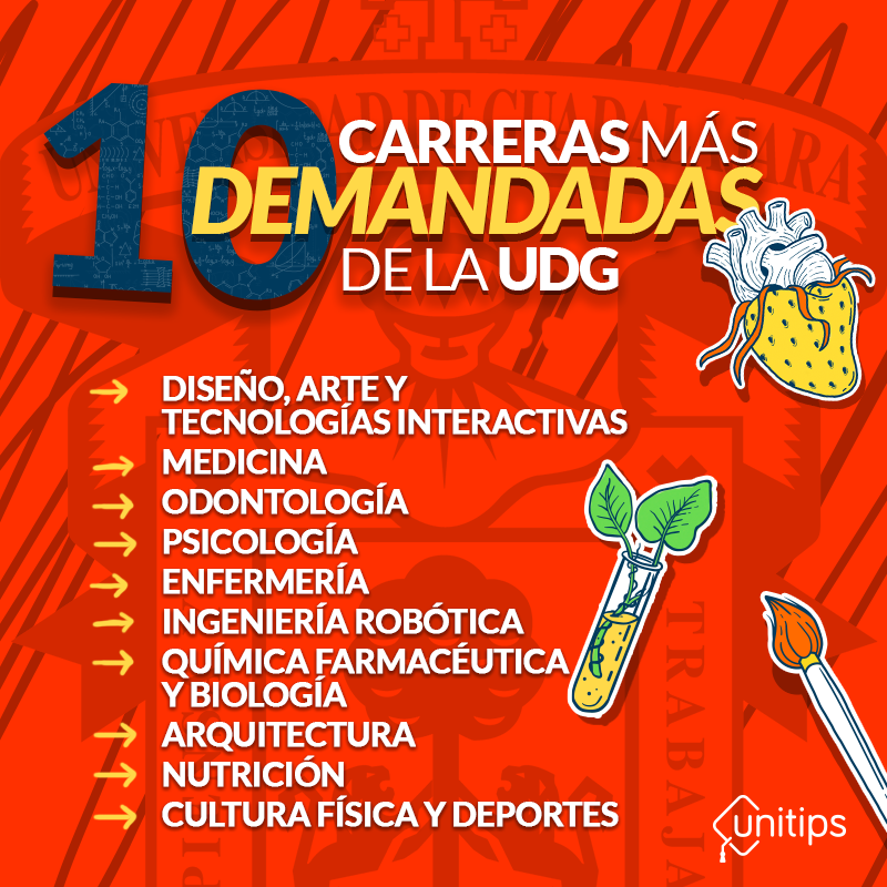 ¿Cuál es la mejor carrera de la UDG?