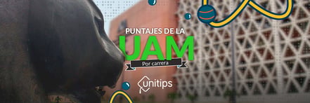 puntajes-uam-carreras