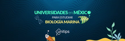 universidades-biologia-marina