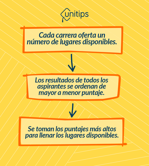 INTERNA_3 ASSET TRES