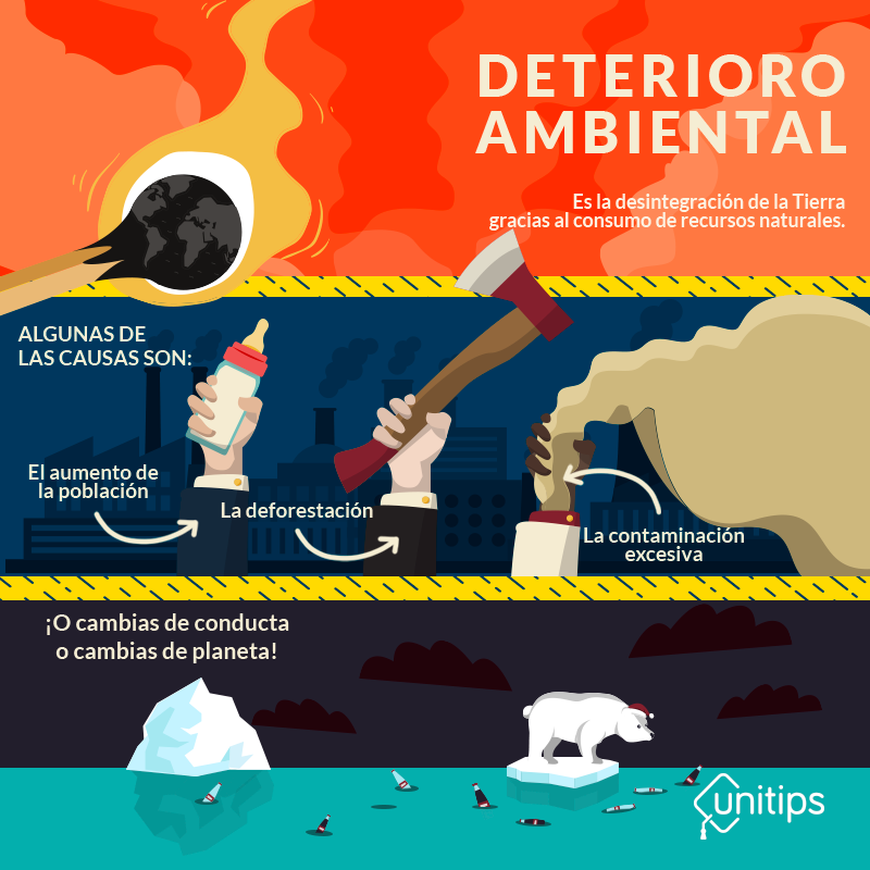 Causas Y Consecuencias Del Deterioro Ambiental